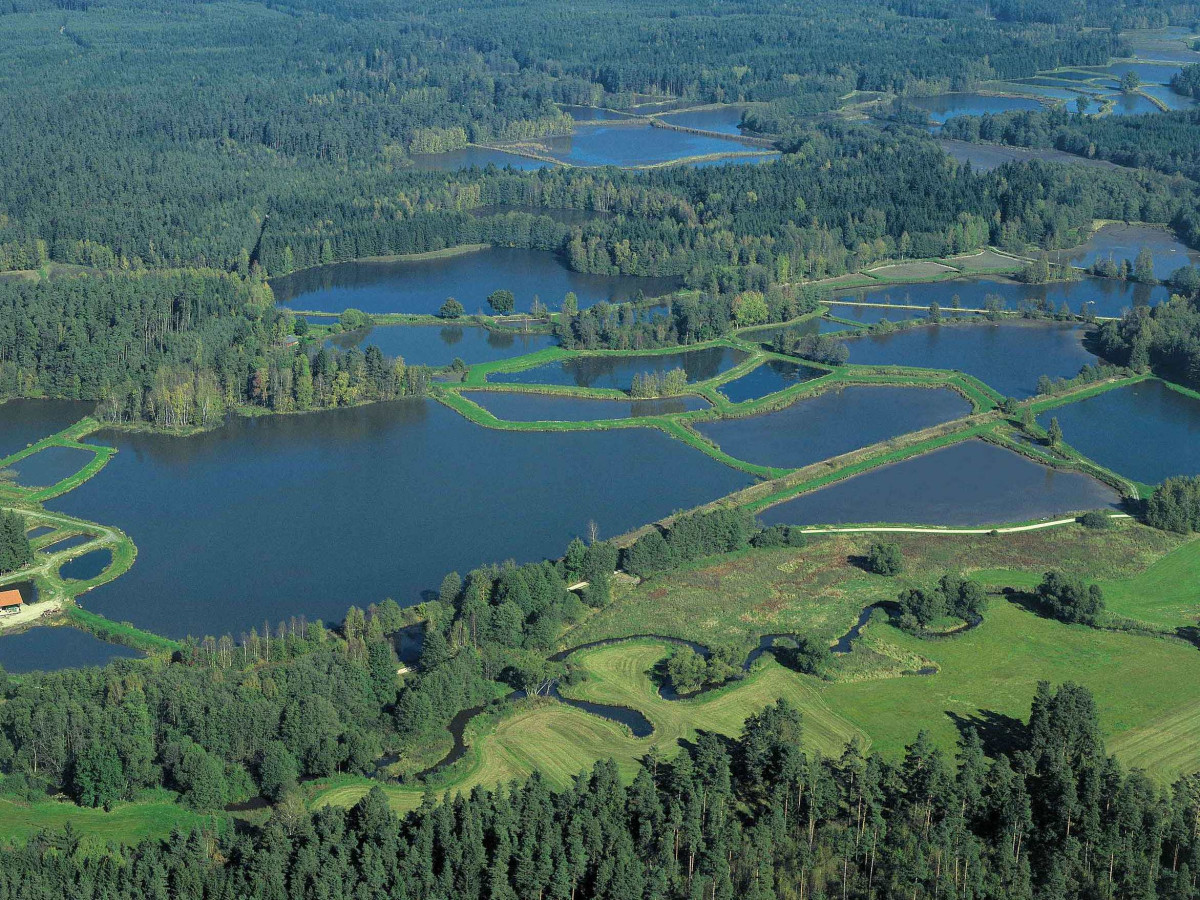 Waldnaabaue Landkreis Tirschenreuth