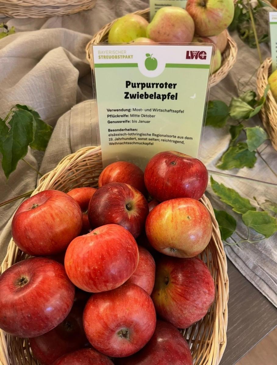 Äpfel in einem Korb