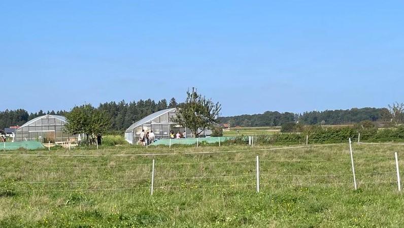 Gewächshäuser und Wiese im Sonnenschein bei blauem Himmel