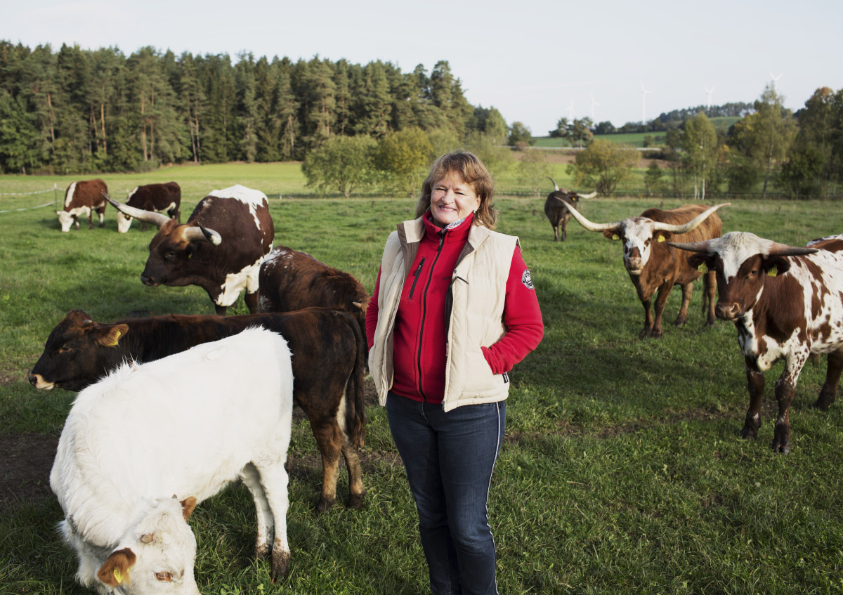 Anne Leichtenstern inmitten ihrer Texas Longhorns auf der Weide