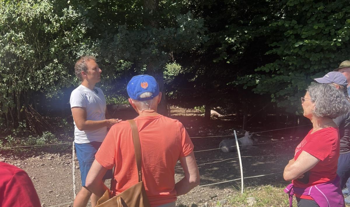 Mann und Menschen vor Wald