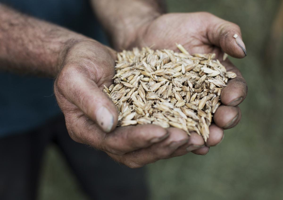 Alles begann mit einer Handvoll Saatgut alter Allgäuer Sorten