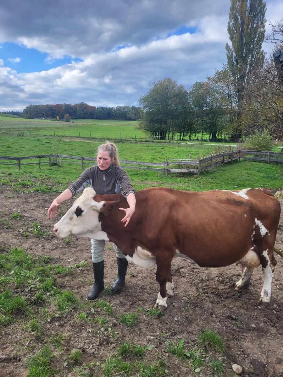-	Die älteste Kuh mit Namen Sola „mag es, wenn´s menschelt“, so Kerstin Mayer. Sola ließ sich deshalb auch gern die Ausführungen zum „stockmanship“, also stressfreier Herdenführung, gefallen.