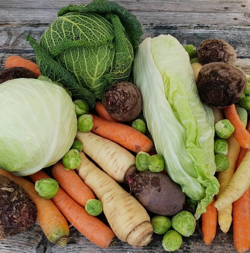 Karotten, Rote Beete, Pastinaken, Wirshing, Weißkohl, Rosenkohl, ...